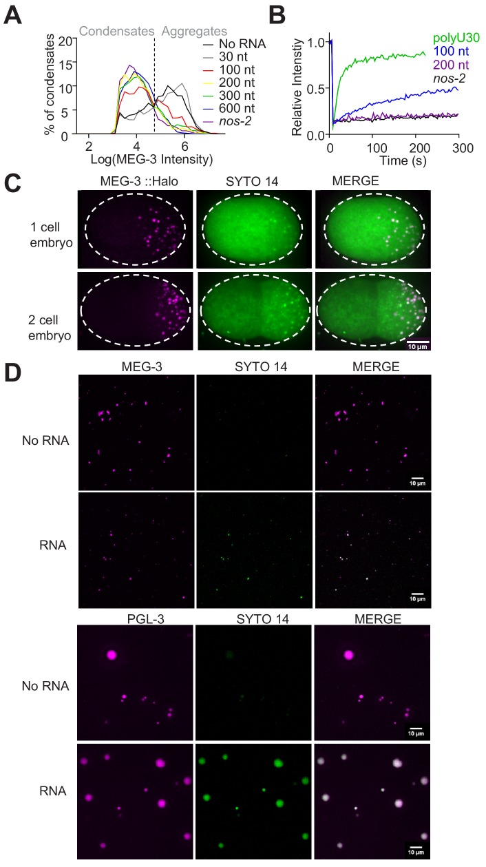 Figure 5—figure supplement 1.