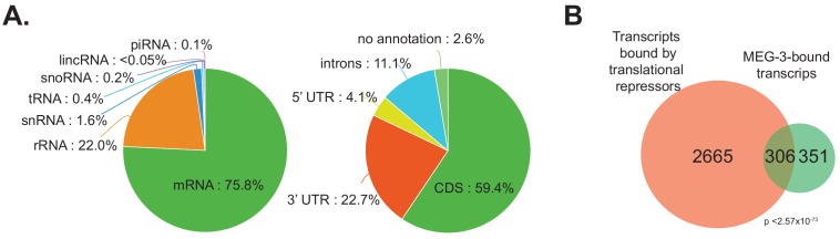 Figure 2—figure supplement 1.