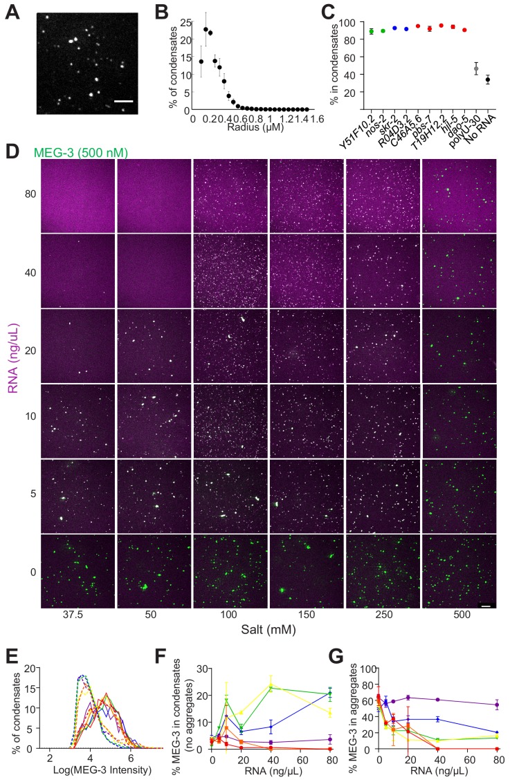 Figure 4—figure supplement 2.