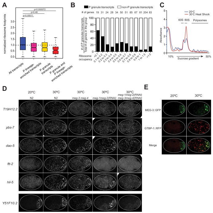 Figure 2—figure supplement 2.