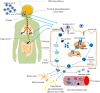 Fig. 1