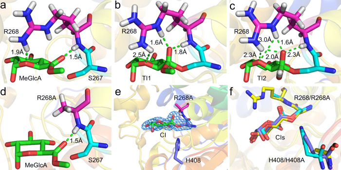 Fig. 7