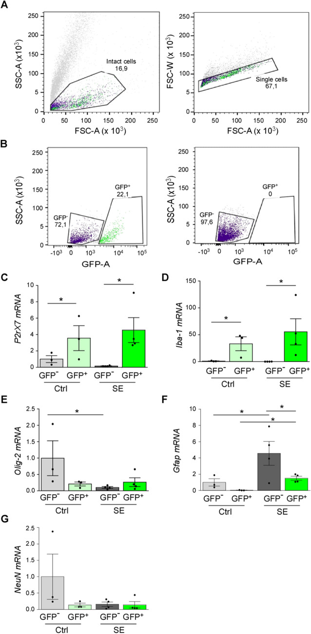 Fig. 3