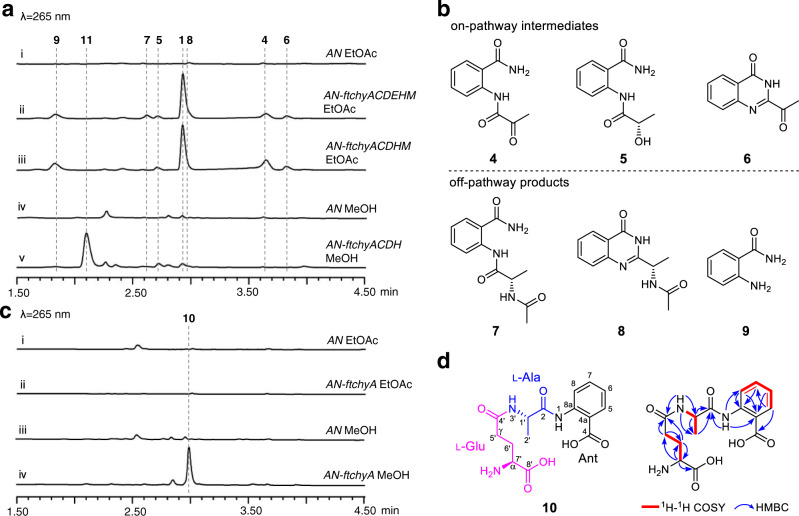 Fig. 3