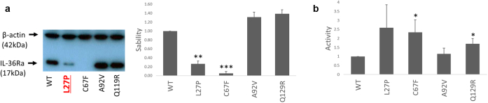 Figure 5