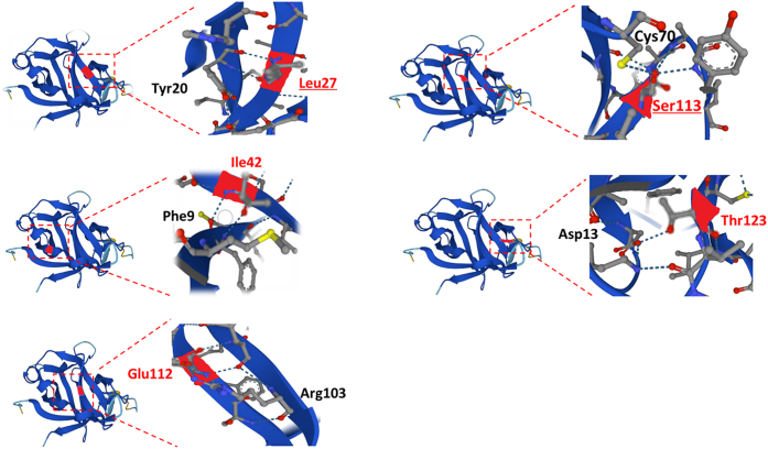 Figure 2