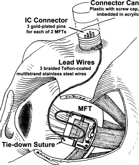 Fig. 2.