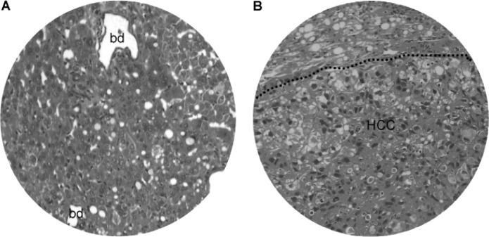 Figure 10.