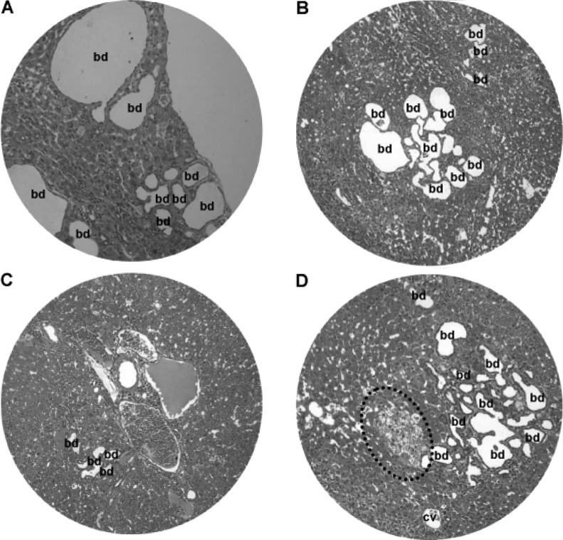 Figure 9.