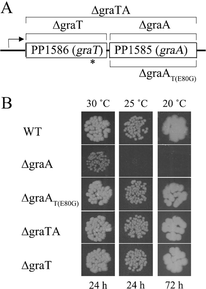 FIG 1