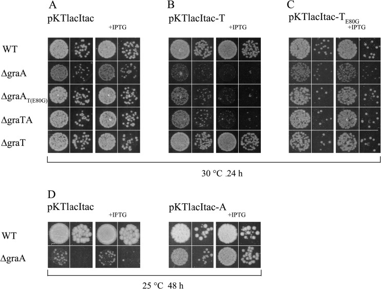 FIG 2