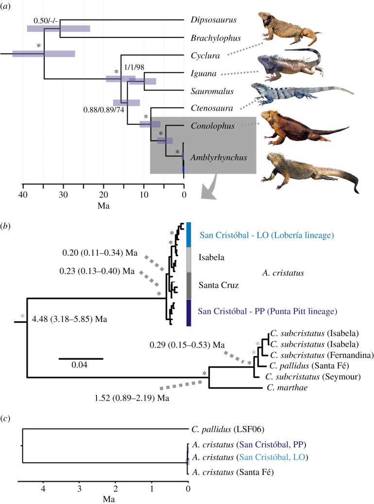 Figure 1.