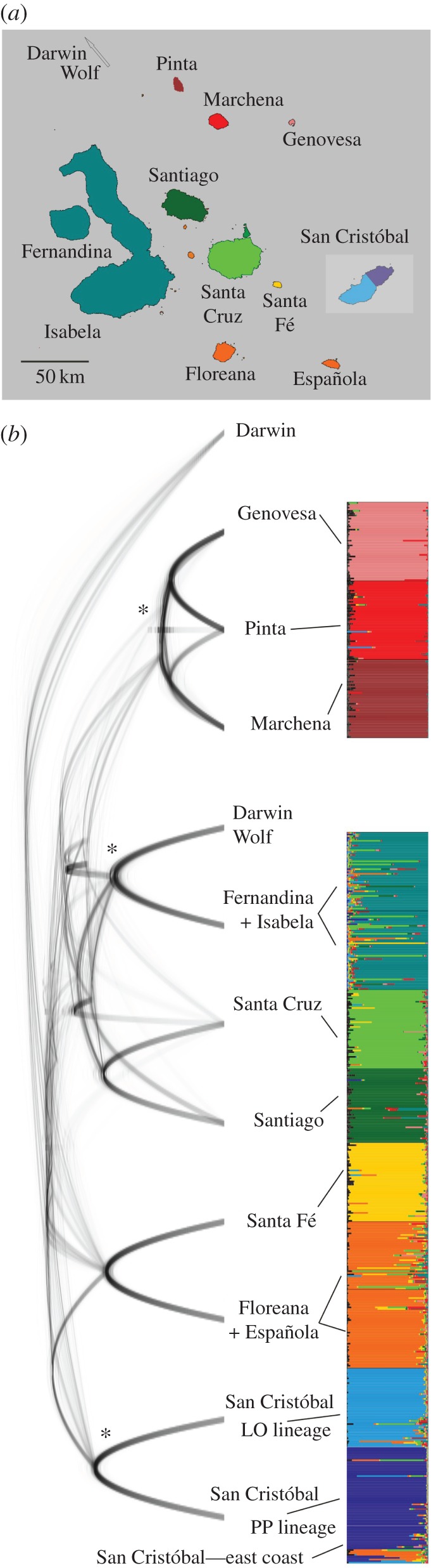 Figure 2.