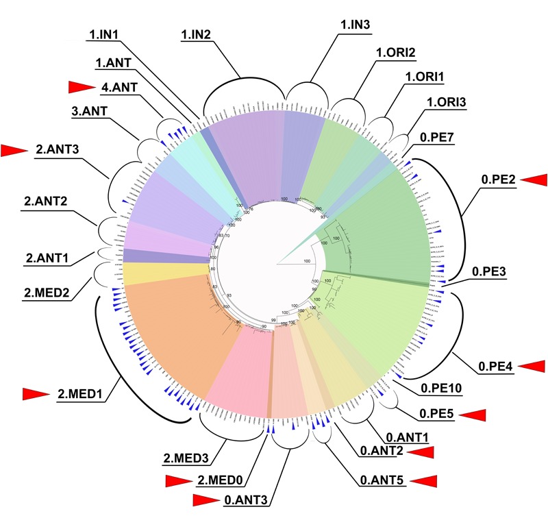 FIGURE 2