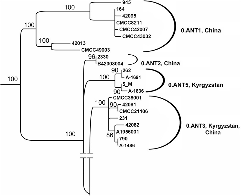 FIGURE 5