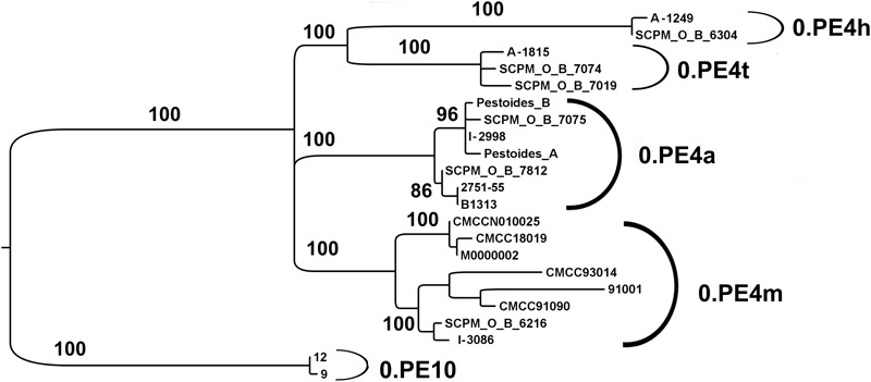 FIGURE 4