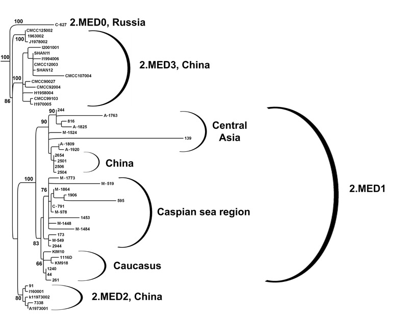 FIGURE 3