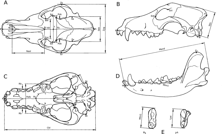 Figure 2.