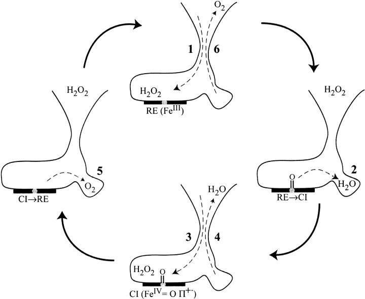 Fig. 9.