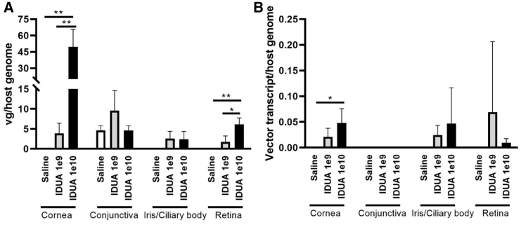 Figure 5