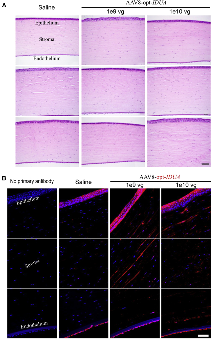 Figure 6