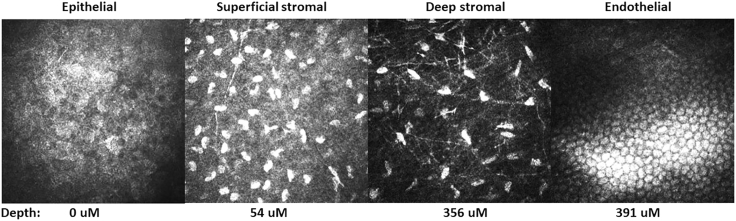 Figure 3