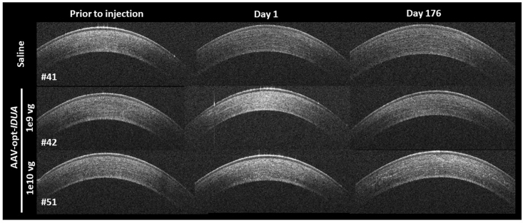 Figure 4