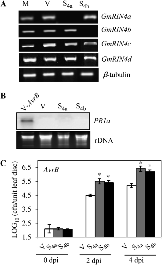 Figure 5.