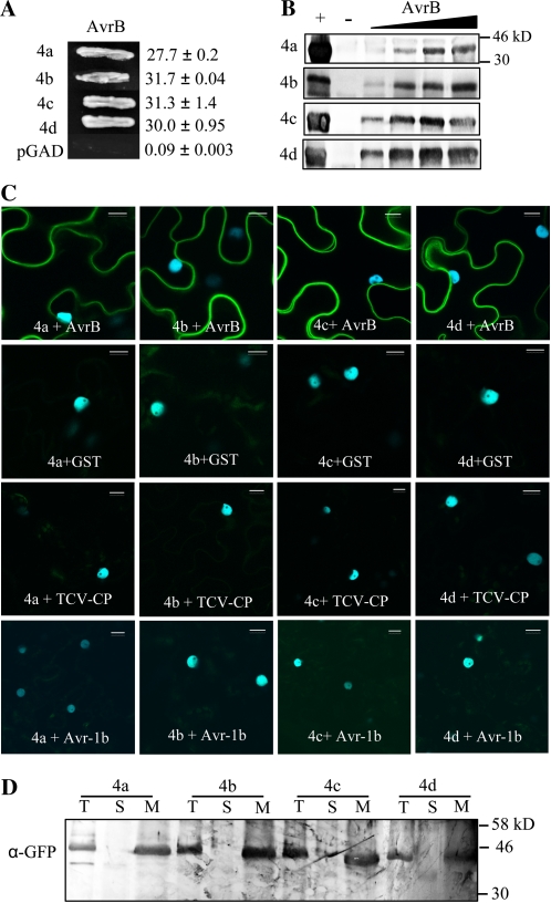 Figure 2.