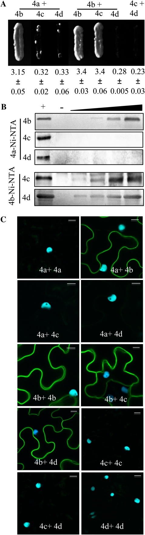 Figure 6.