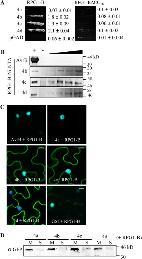 Figure 3.