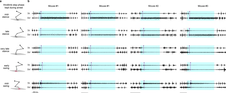 Extended Data Fig. 4