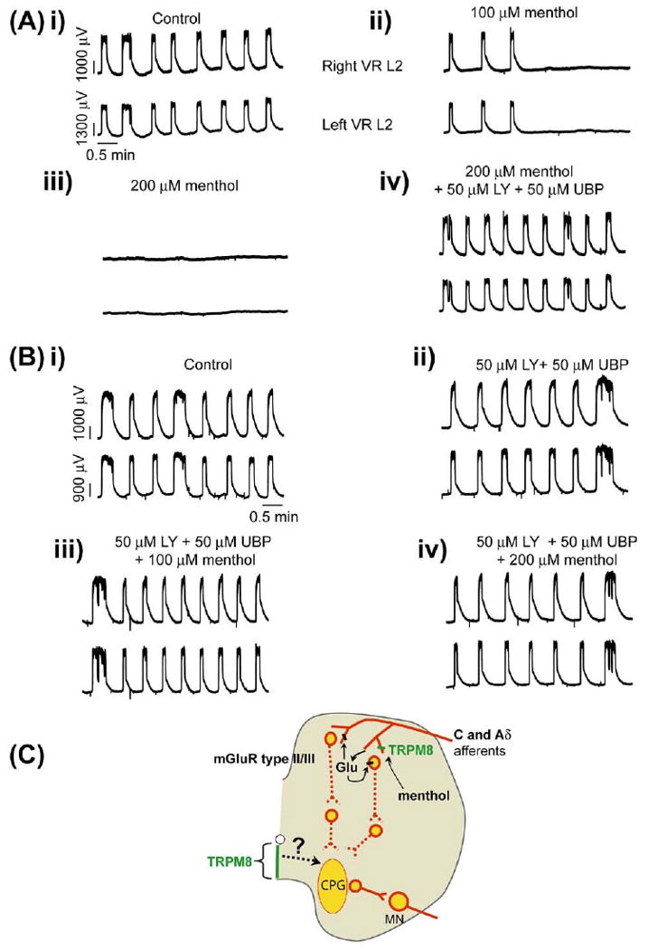 Fig. 9