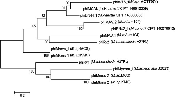 Figure 5