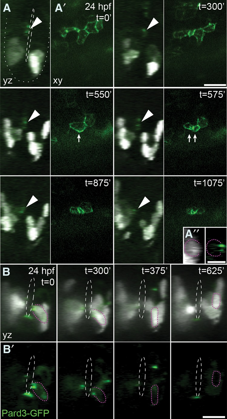 Figure 4.