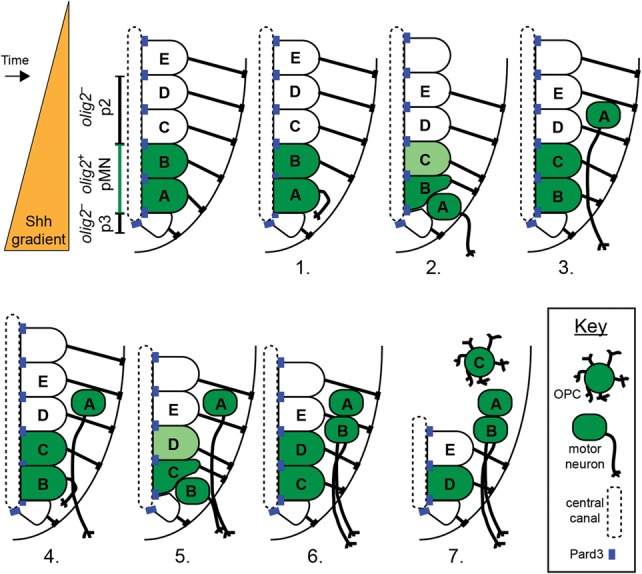 Figure 6.