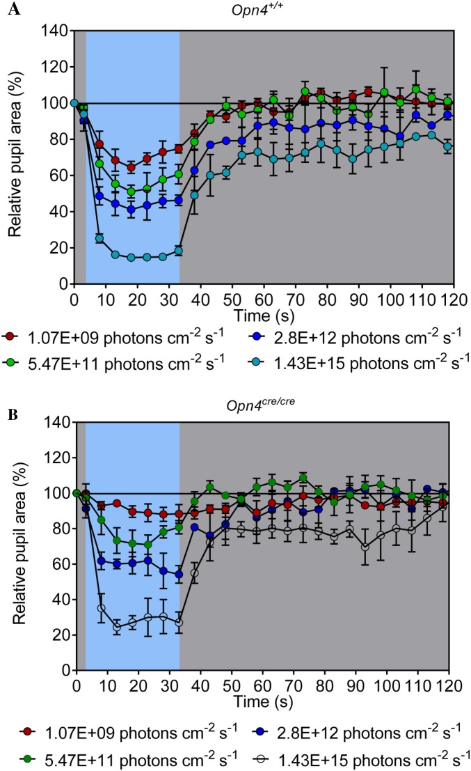 Fig. S5.