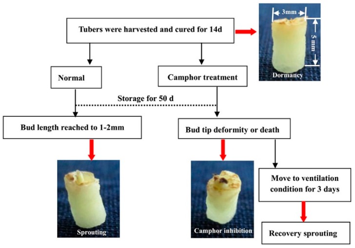 Figure 10