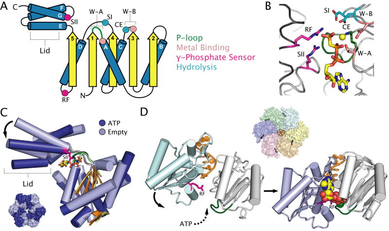 Fig. 2