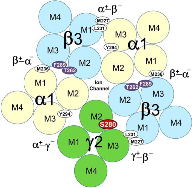 FIGURE 7.