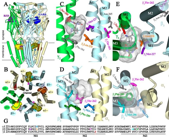 FIGURE 12.