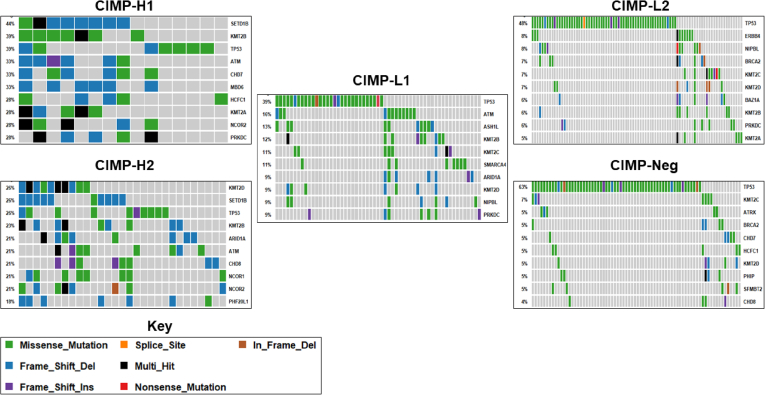 Figure 6