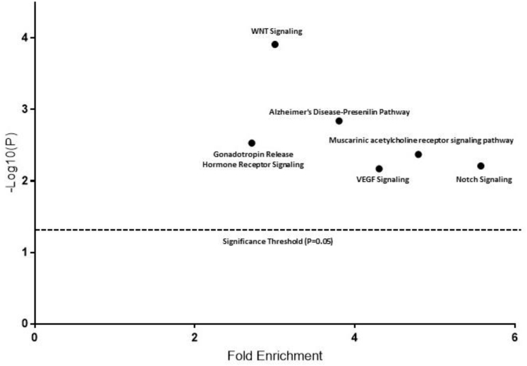 Figure 5