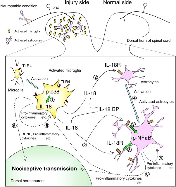 Figure 12.