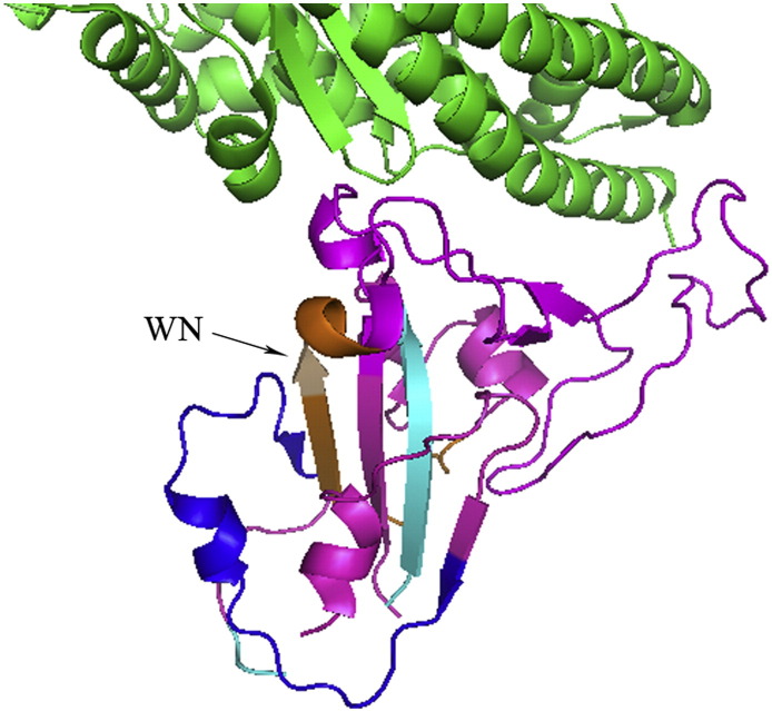 Fig. 7