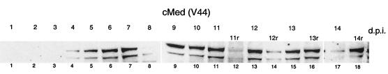 FIG. 9.