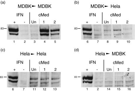 FIG. 6.