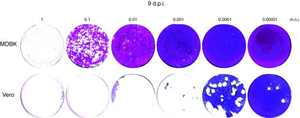 FIG. 3.