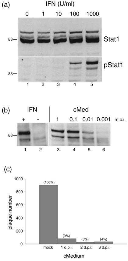 FIG. 5.