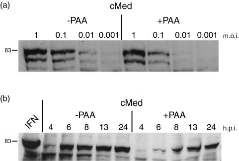 FIG. 7.